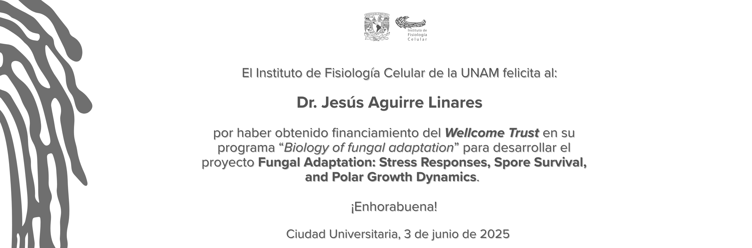 welcome banner
